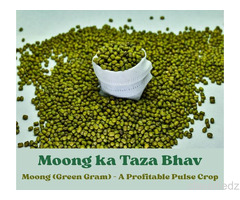 Today’s Green Gram Mandi Price & Daily Moong Rates