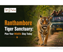 Ranthambore Tiger Sanctuary: Plan Your Wildlife Stay Today