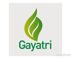 Gayatri Psyllium Industries - India’s Leading Producer of Psyllium-Based Solutions