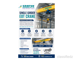 Single Girder EOT Crane Manufacturer in India