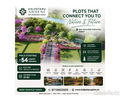 Kalpataru Plots Nagpur: Amenities, Plot Sizes & Payment Plans