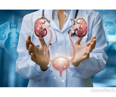 Complete Guide to Kidney Care and Treatment in Dehradun