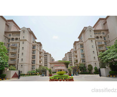 DLF Beverly Park 1 Gurgaon | Premium Homes & Penthouses