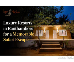 Luxury Resorts in Ranthambore for a Memorable Safari Escape