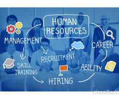 Build Your HR Career with an Industry-Relevant PGDM Programme