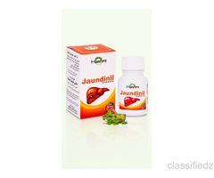 Hashmi Jaundinil Capsule (20 Capsule)