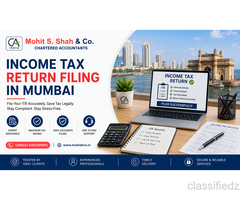 Professional Income Tax Return Filing in Mumbai