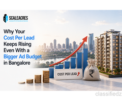Ad Budget Up but Cost Per Lead Still Rising in Bangalore?