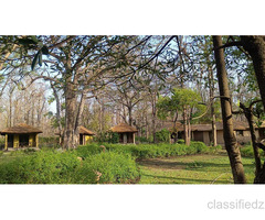 Jungle Safari in Jim Corbett | Bijrani Zone
