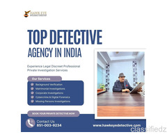 Best Detective Agency in India - Hawkeye Detective