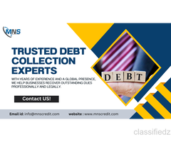 International Debt Collection Services for Global Businesses