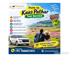 Taxi Service Pune to Kaas Pathar: Explore Satara’s Valley of Flowers