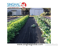 Modern Breathable Synthetic Ground Covers for Crop Care