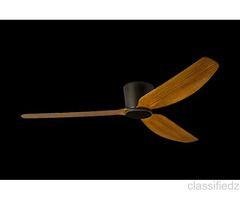 Premium Quality Ceiling Fan