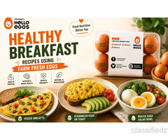 Healthy Breakfast Recipes Using Farm Fresh Eggs