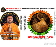 Astrology Consultation Love Marriage Guidance