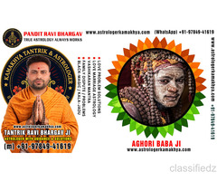 Astrology Consultation Love Marriage Guidance
