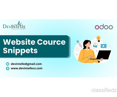 Website Course Dynamic Snippets - 32+ Styles in Odoo