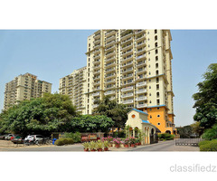Residential Properties On NH 8 Road For Rent | Gurgaon