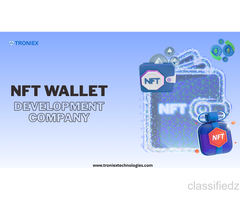Scale Your Web3 Product With Custom NFT Wallet Development