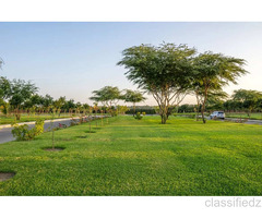 Evara Greens Plots in Gurgaon – Price, Size & Location Guide