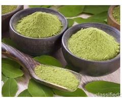 Moringa Powder Suppliers in Gujarat