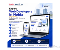 How Can a Reliable Web Development Company Improve Your Website?