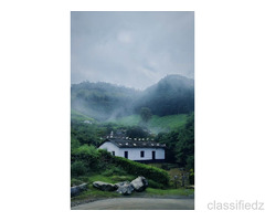 Seasonal trips with best Monsoon Tour packages