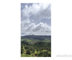 Seasonal trips with best Monsoon Tour packages