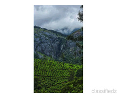 Seasonal trips with best Monsoon Tour packages