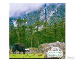 Darjeeling Gangtok Package Tour from NJP for a Relaxing Mountain Escape