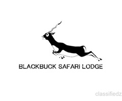 Blackbuck Safari Lodge-Velavadar