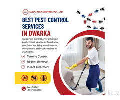 Best Pest Control Services in Dwarka - Call Now for Best Rates 