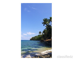 Complete travel planning service to take care of every single need in lakshadweep 