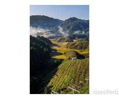 Best Tourism Services with ziro valley to provide secure value for your money