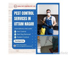 Pest Control Services in Uttam Nagar Affordable & Reliable