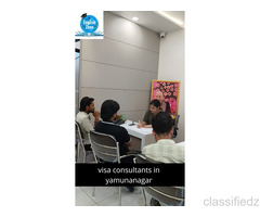  Best visa consultants in yamunanagar | English Zone