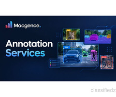 Why Annotation Services Matter for AI Development?