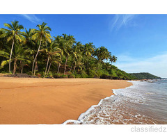 Instant offers on Hotel, Transfers, Sightseeing Reservation