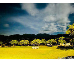 Your New Year Celebration Starts at Resorts By The Baagh