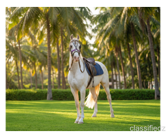 Best Resorts for Wedding in Coimbatore | Nature Stay in Coimbatore