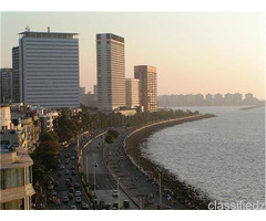 Hangout with best offers with Incentive, Corporate, Family & Group Tours
