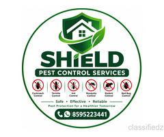 Pest Control Services in Noida