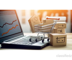 Professional Website & E-Commerce Solutions in Mumbai