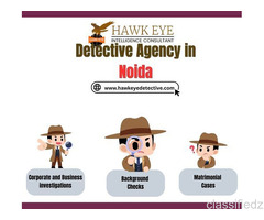 Best Detective agency in Noida: 30 Years of Trust and confidentiality